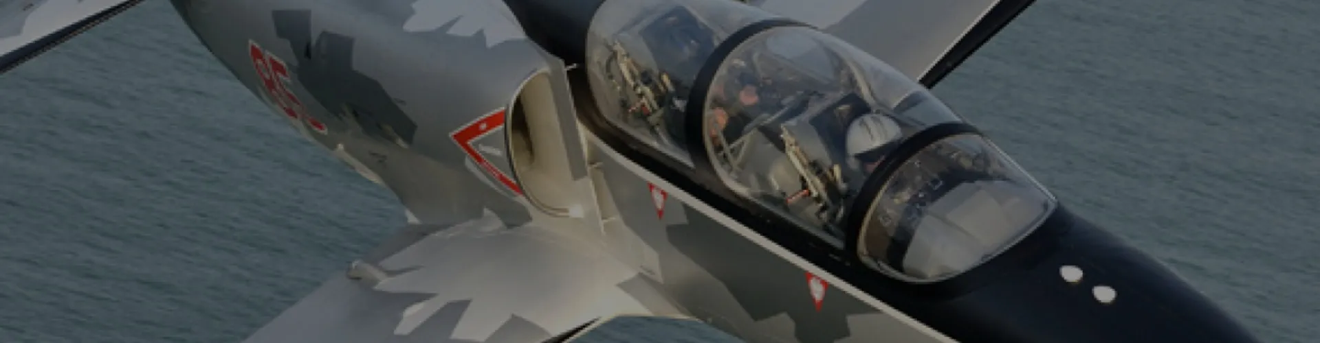 Vol avion de chasse