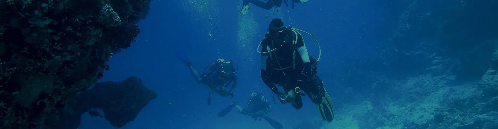 Brevet de Plongée Sous Marine en Languedoc-Roussillon