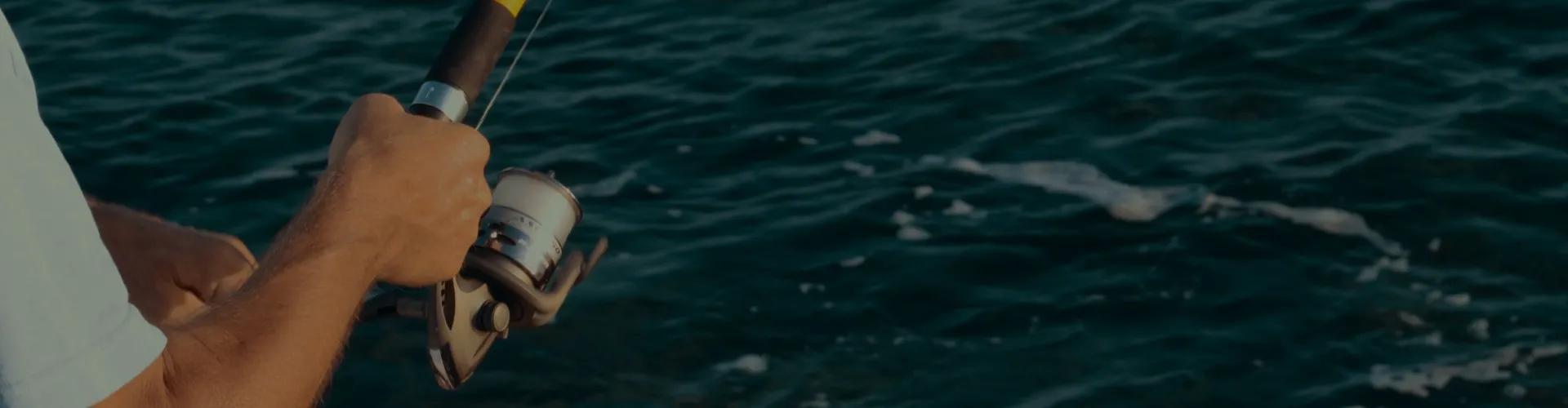 Pêche au gros