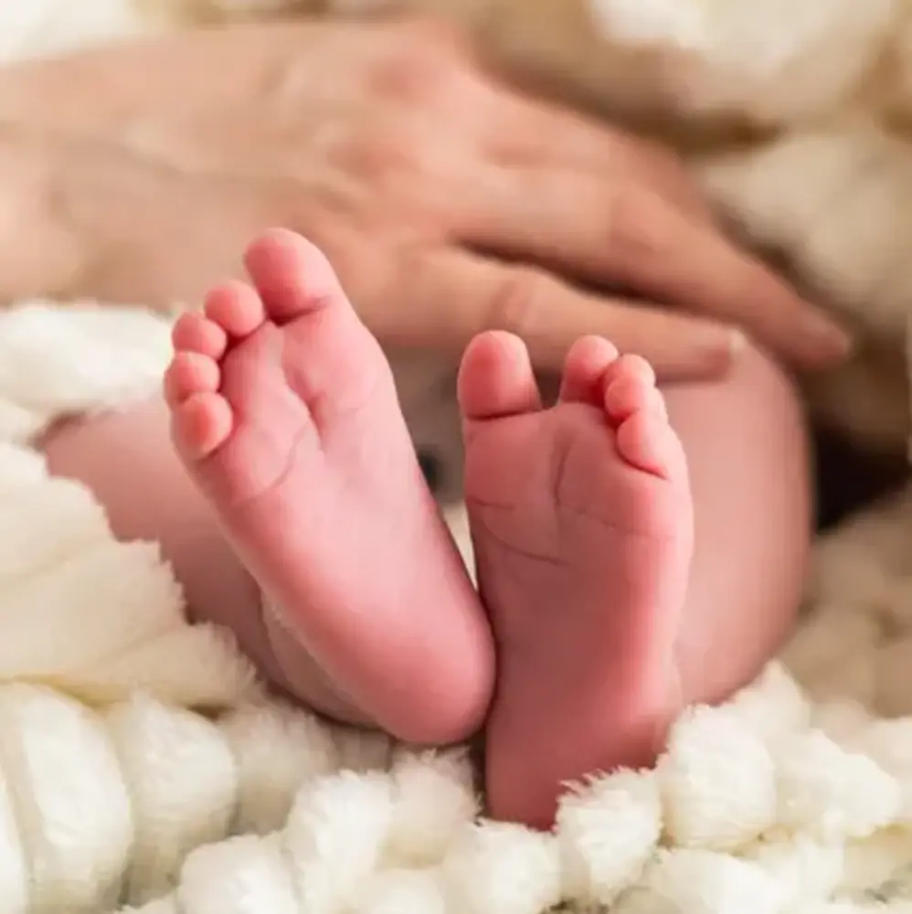 Activité : Shooting Photo de Bébé à Rennes