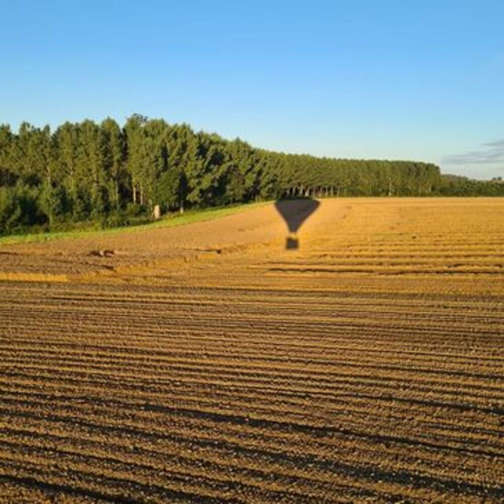 Activité : Vol en Montgolfière à Bruxelles