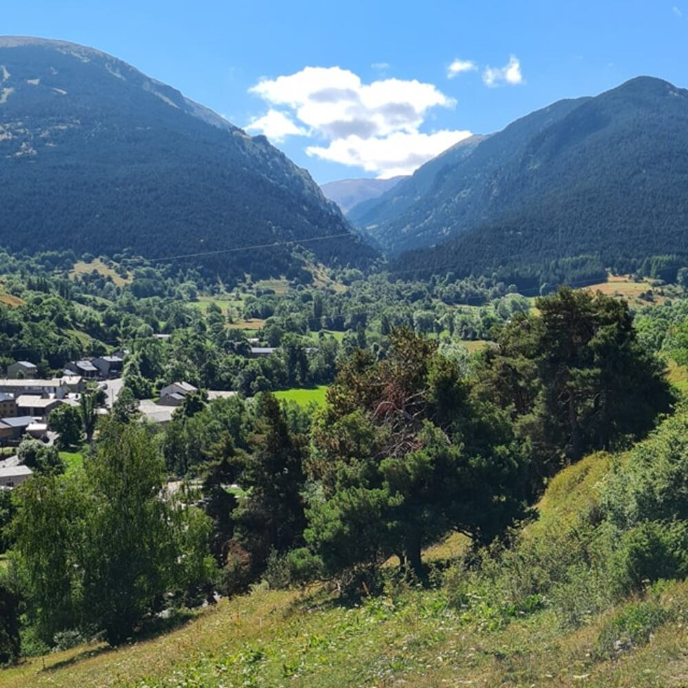 Activité : Balade en Cani-Kart au Cambre-d'Aze près de Font-Romeu