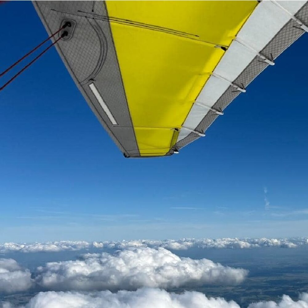 Activité : Initiation au Pilotage d'ULM Pendulaire à Épinal