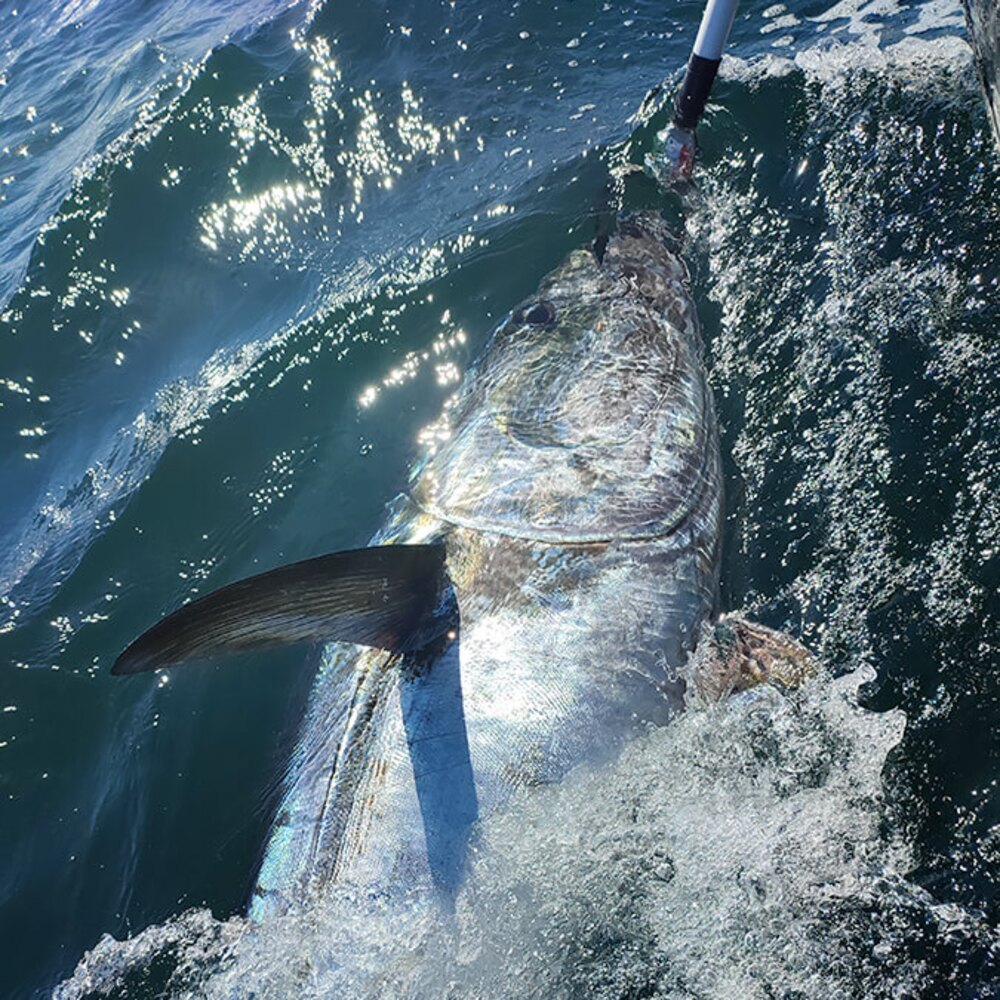 Activité : Pêche au Gros à la Rochelle