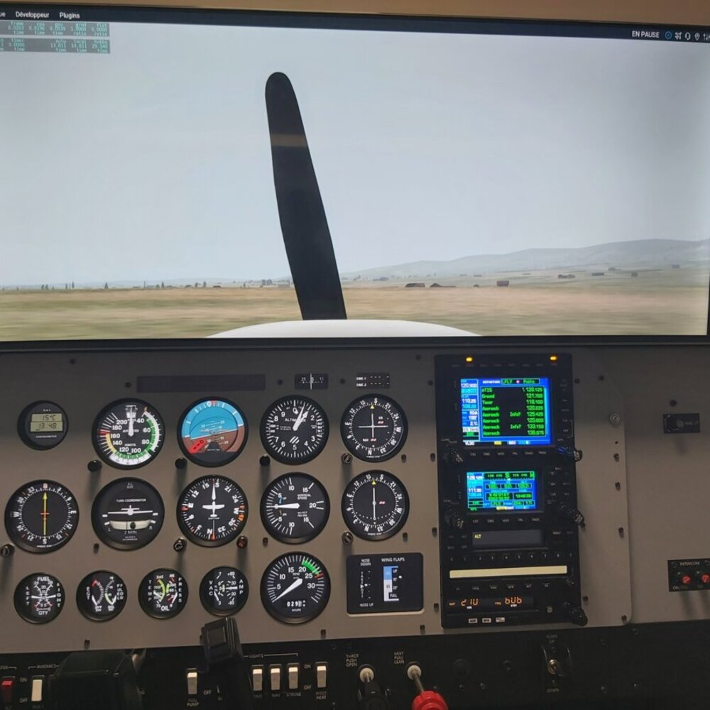 Activité : Simulateur de Vol en Avion à Lyon-Bron