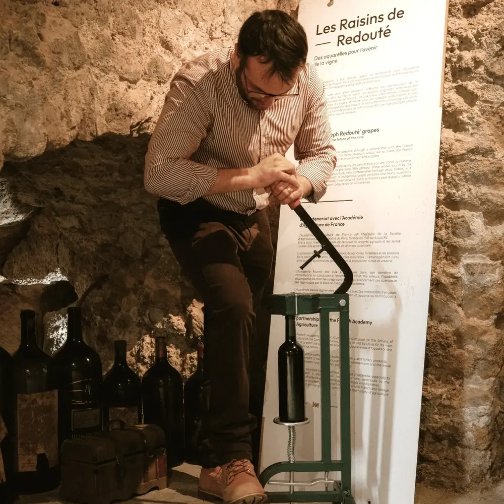 Activité : Atelier Assemblage de Vin au Musée du Vin de Bordeaux