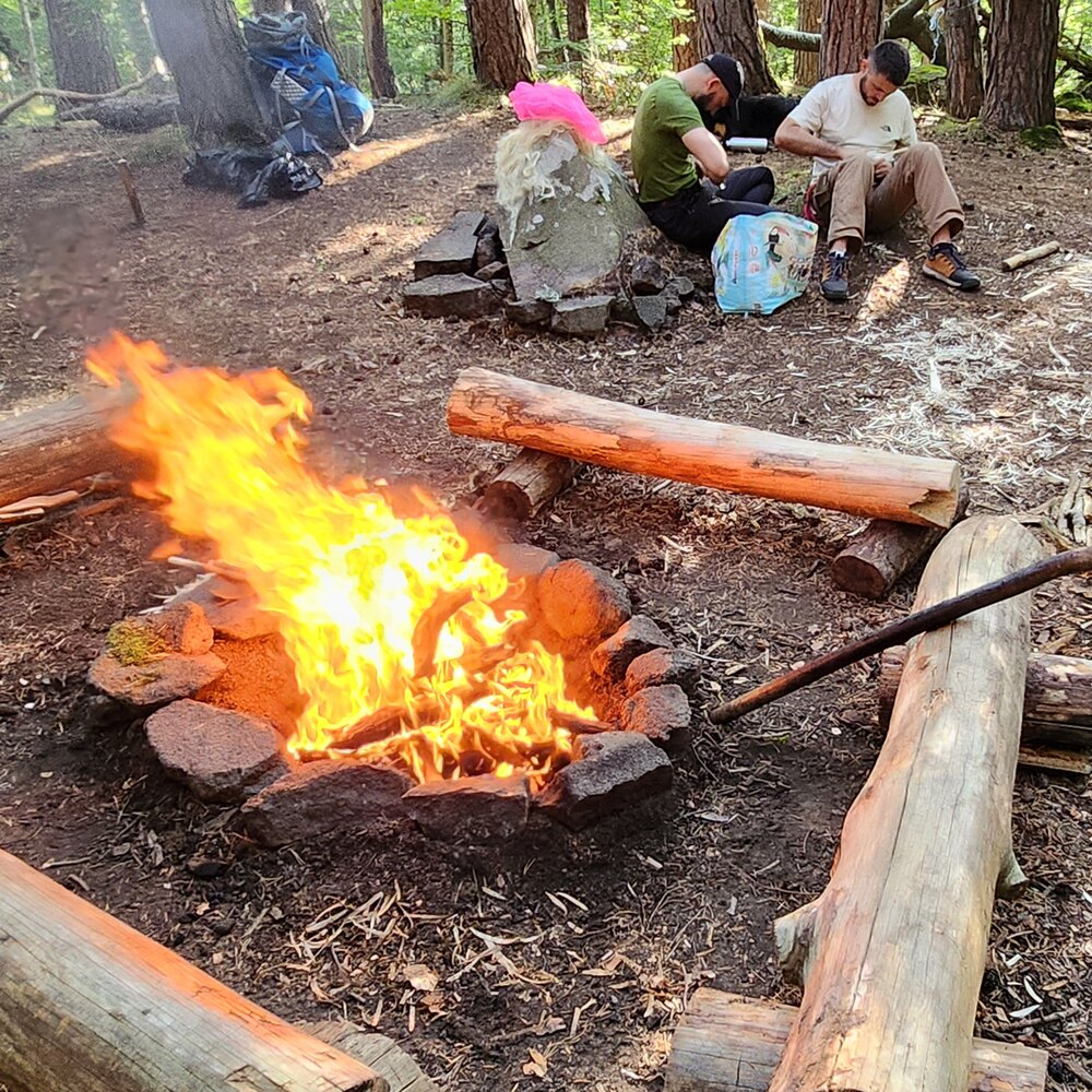 Activité : Week-End Stage de Survie au Coeur du Parc des Volcans d'Auvergne