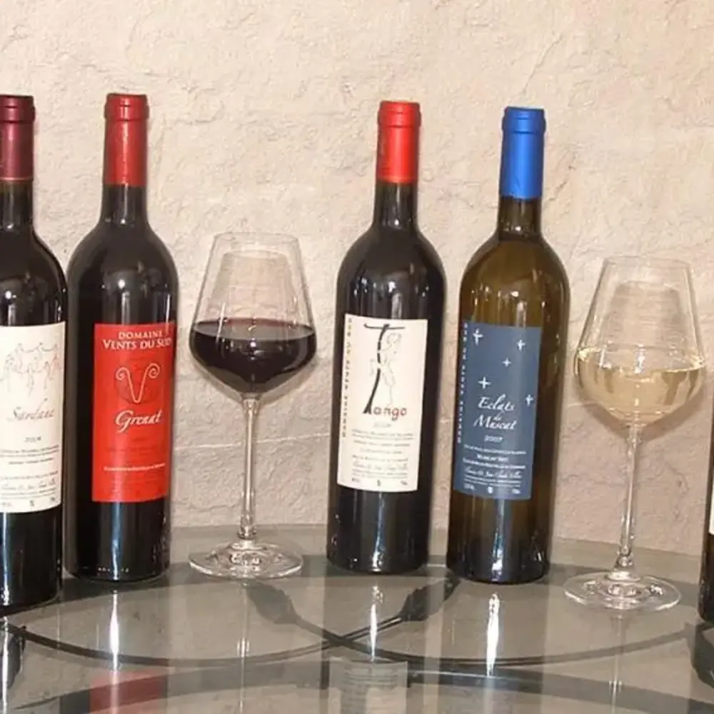 Photo : Initiation à l'Œnologie au Domaine Vents du Sud près de Perpignan