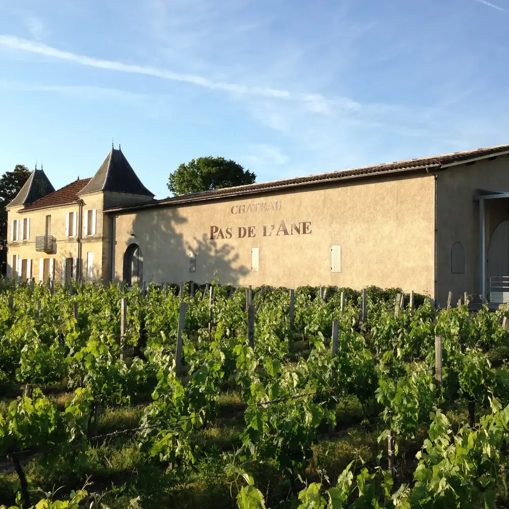 Activité : Initiation à l'Œnologie au Château Pas de L'Âne à Saint-Émilion