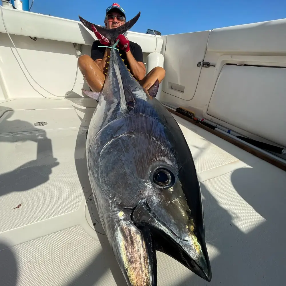 Activité : Pêche au Gros à Sausset-les-Pins