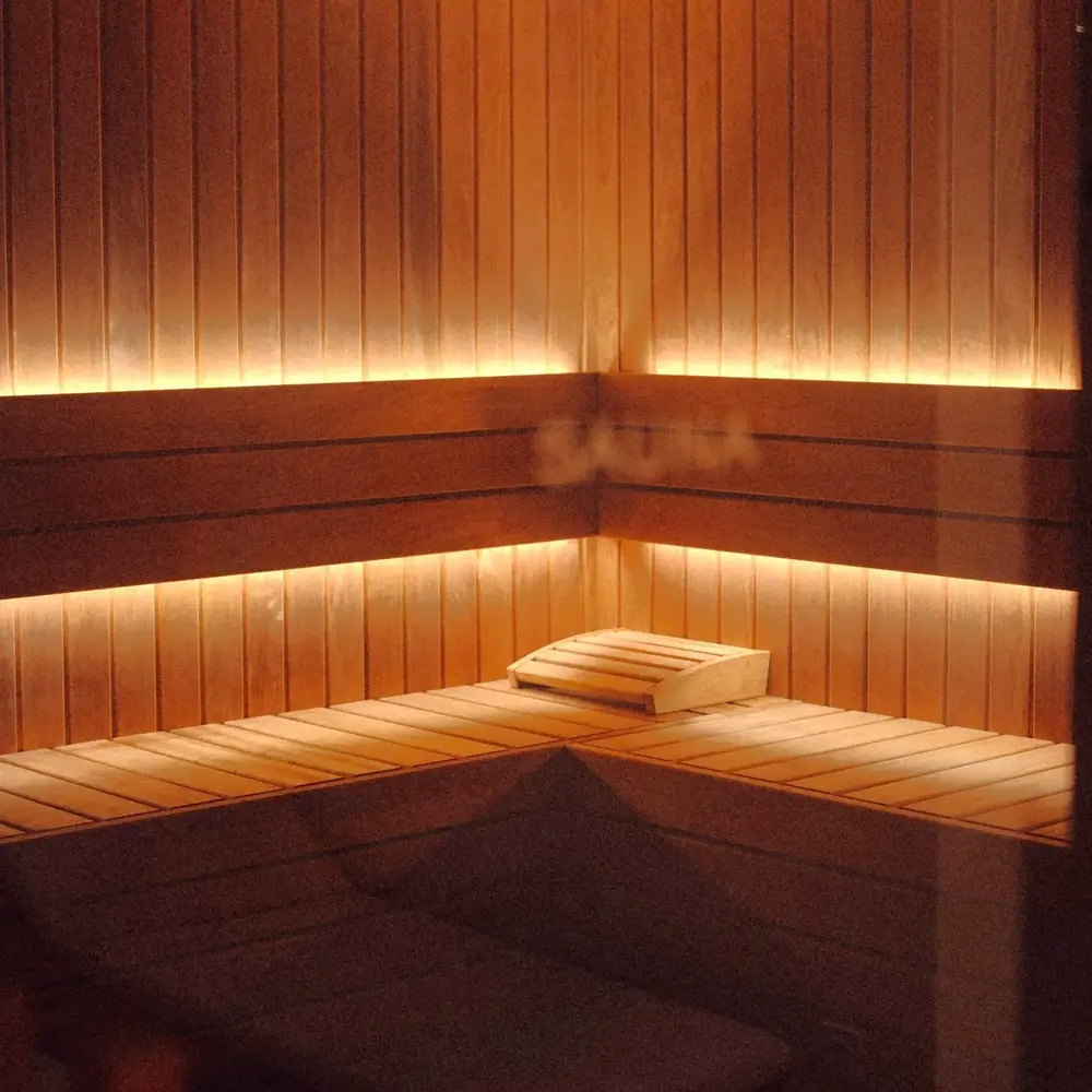 Activité : Spa et Soins à l'Hôtel Bellevigne 4* près de Dijon