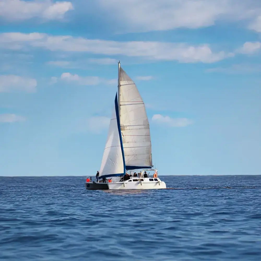 Activité : Balade en Catamaran à Noirmoutier