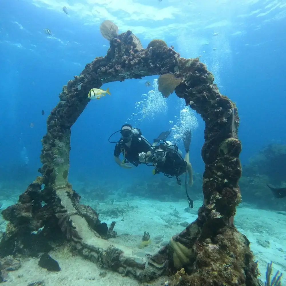 Activité : Initiation à la Plongée à Martigues