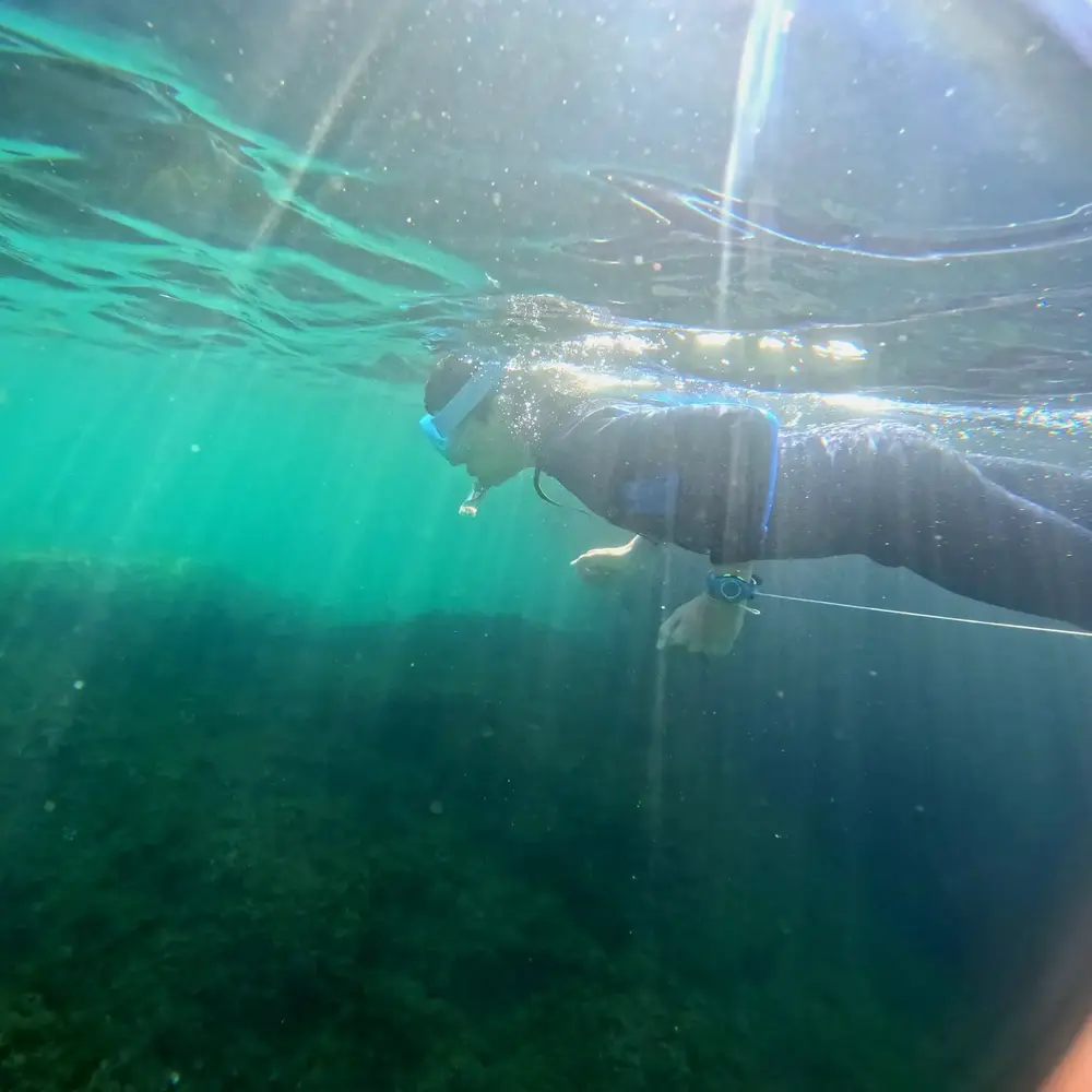 Activité : Randonnée Palmée à Martigues
