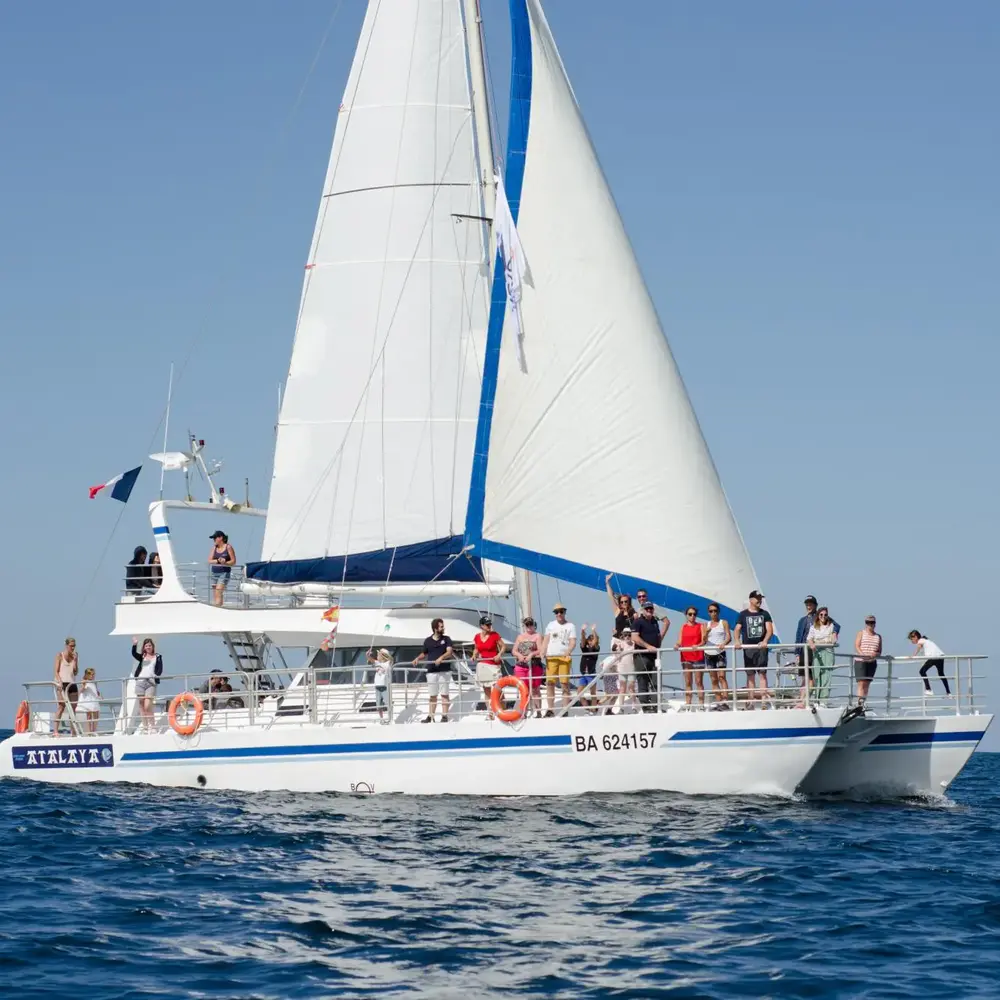 Activité : Sortie en Mer en Catamaran à la rencontre des Dauphins à Hendaye