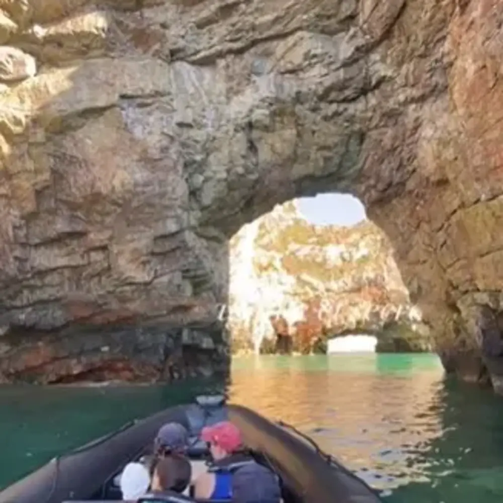 Activité : Balade en Bateau à Camaret-sur-Mer