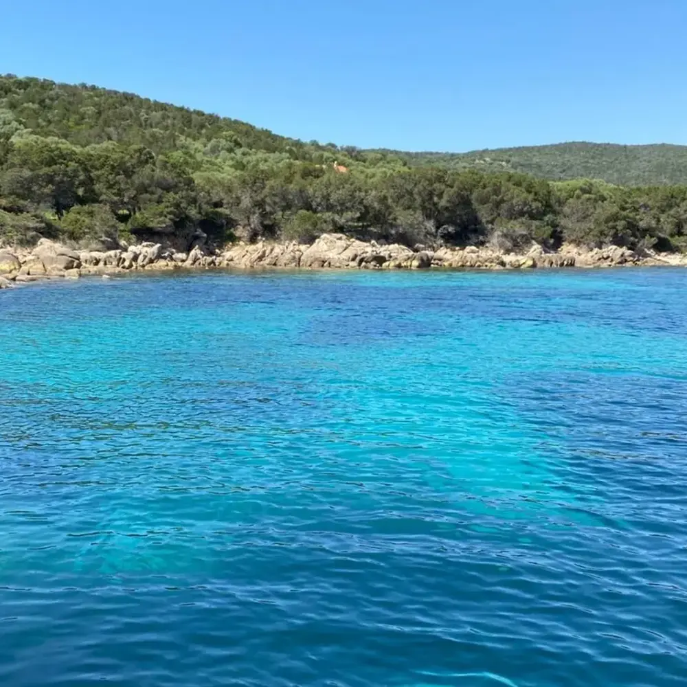 Activité : Balade en Bateau et Snorkeling à Porto Pollo