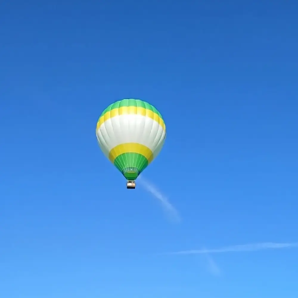 Activité : Vol en Montgolfière à Épinal