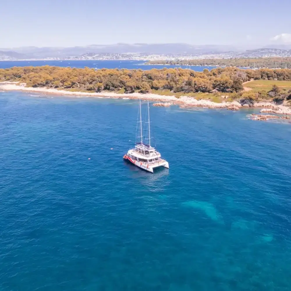 Activité : Sortie en Maxi-Catamaran à Villeneuve-Loubet