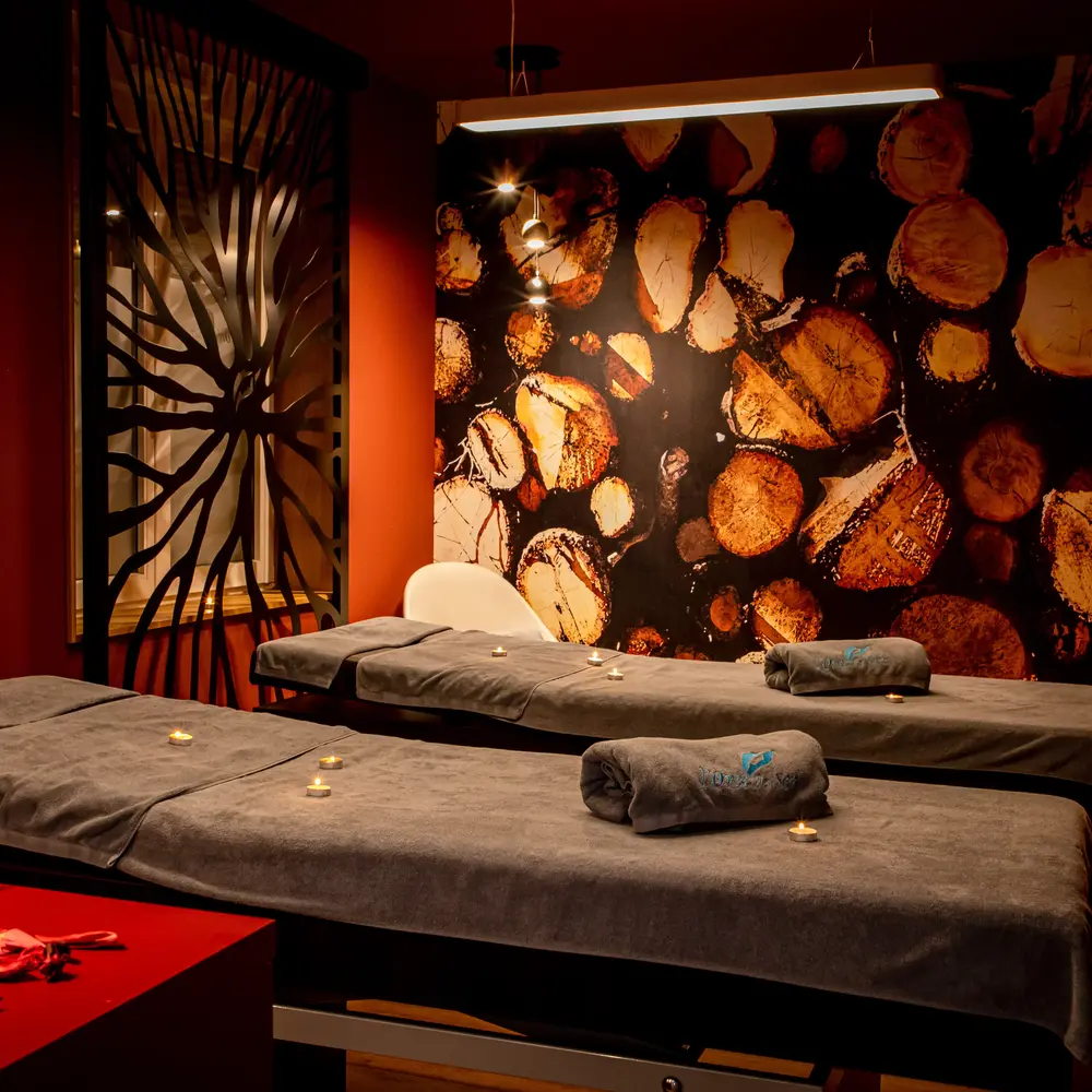 Activité : Spa et Massage avec Apéritif à L'Hôtel L'Orée du Bois 3* à Vittel