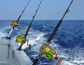 Pêche au Gros près de Cannes à Golfe-Juan - Alpes-Maritimes 06