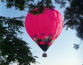 Vol en Montgolfière à Albi - Survol du Tarn Vol en Montgolfière à Albi - Survol du Tarn