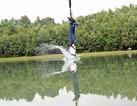 Saut à l'élastique avec touché d'eau à Epinal Saut à l'élastique avec touché d'eau à Epinal