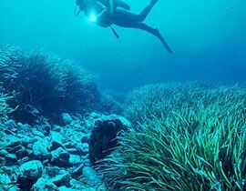 Baptême de plongée et initiation à Villefontaine Baptême de plongée et initiation à Villefontaine