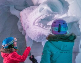 Soirée et Nuit en Igloo à Avoriaz Soirée et Nuit en Igloo à Avoriaz