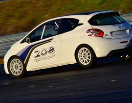 Coaching Rallye sur le Circuit d'Andrézieux Coaching Rallye sur le Circuit d'Andrézieux