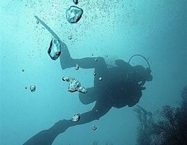 Brevet de Plongée SSI Open Water à Perpignan Brevet de Plongée SSI Open Water à Perpignan