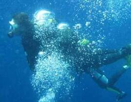 Brevet de Plongée Niveau 1 dans le Golfe de Sagone Brevet de Plongée Niveau 1 dans le Golfe de Sagone