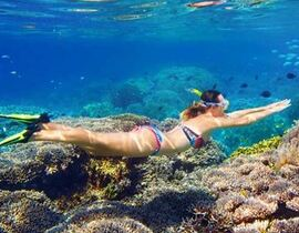 Randonnée Palmée dans le Golfe de Sagone Randonnée Palmée dans le Golfe de Sagone