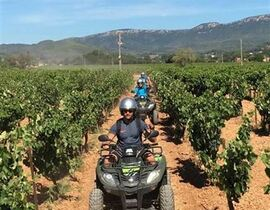 Randonnée en Quad dans le Var à Cuers Randonnée en Quad dans le Var à Cuers