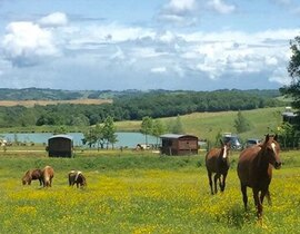 Week-end en Roulotte près d'Auch Week-end en Roulotte près d'Auch