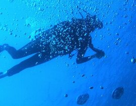 Brevet de Plongée Niveau 1 près de Saulieu Brevet de Plongée Niveau 1 près de Saulieu