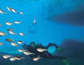Baptême de Plongée au Cap Cerbère près de Banyuls-sur-Mer Baptême de Plongée au Cap Cerbère près de Banyuls-sur-Mer