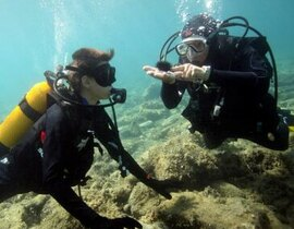 Brevet de Plongée au Cap Cerbère près de Banyuls-sur-Mer Brevet de Plongée au Cap Cerbère près de Banyuls-sur-Mer