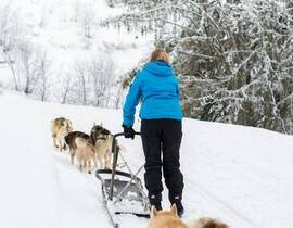 Conduite d'un Attelage de Chiens de Traîneau à Avoriaz Conduite d'un Attelage de Chiens de Traîneau à Avoriaz