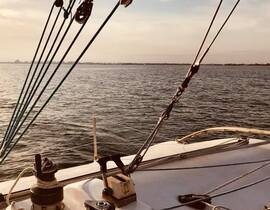 Sortie en Catamaran de Course à Port-Camargue