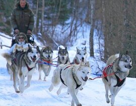 Randonnée en Chiens de Traîneau dans les Pyrénées Catalanes Randonnée en Chiens de Traîneau dans les Pyrénées Catalanes
