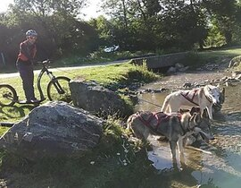 Balade en Cani-Trottinette dans les Pyrénées Catalanes Balade en Cani-Trottinette dans les Pyrénées Catalanes