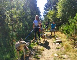 Balade en Cani-Rando dans les Pyrénées Catalanes Balade en Cani-Rando dans les Pyrénées Catalanes