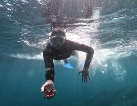 Baptême d'Apnée et Snorkeling à Hyères - Presqu'île de Giens Baptême d'Apnée et Snorkeling à Hyères - Presqu'île de Giens