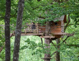 Cabane dans les Arbres à Vittel Cabane dans les Arbres à Vittel