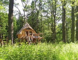 Nuit Insolite en Cabane familiale à Vittel Nuit Insolite en Cabane familiale à Vittel