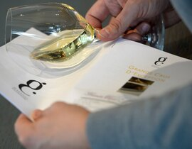 Cours d'Œnologie à La Rochelle Cours d'Œnologie à La Rochelle