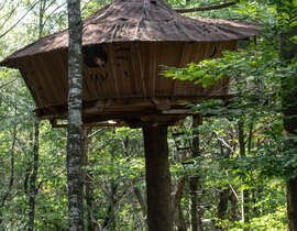 Cabane dans les arbres dans les Monts d'Ardèche Cabane dans les arbres dans les Monts d'Ardèche