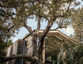 Cabane de Luxe dans les arbres à Porto-Vecchio Cabane de Luxe dans les arbres à Porto-Vecchio