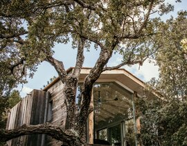 Week-end en amoureux en Cabane dans les Arbres à Porto-Vecchio Week-end en amoureux en Cabane dans les Arbres à Porto-Vecchio